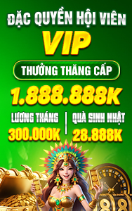 thăng cấp VIP lương tháng 300000k quà sinh nhạt 28.888k